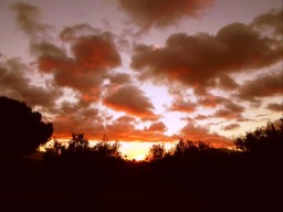 TN_SAM_5004_tramonto sulle arance.JPG